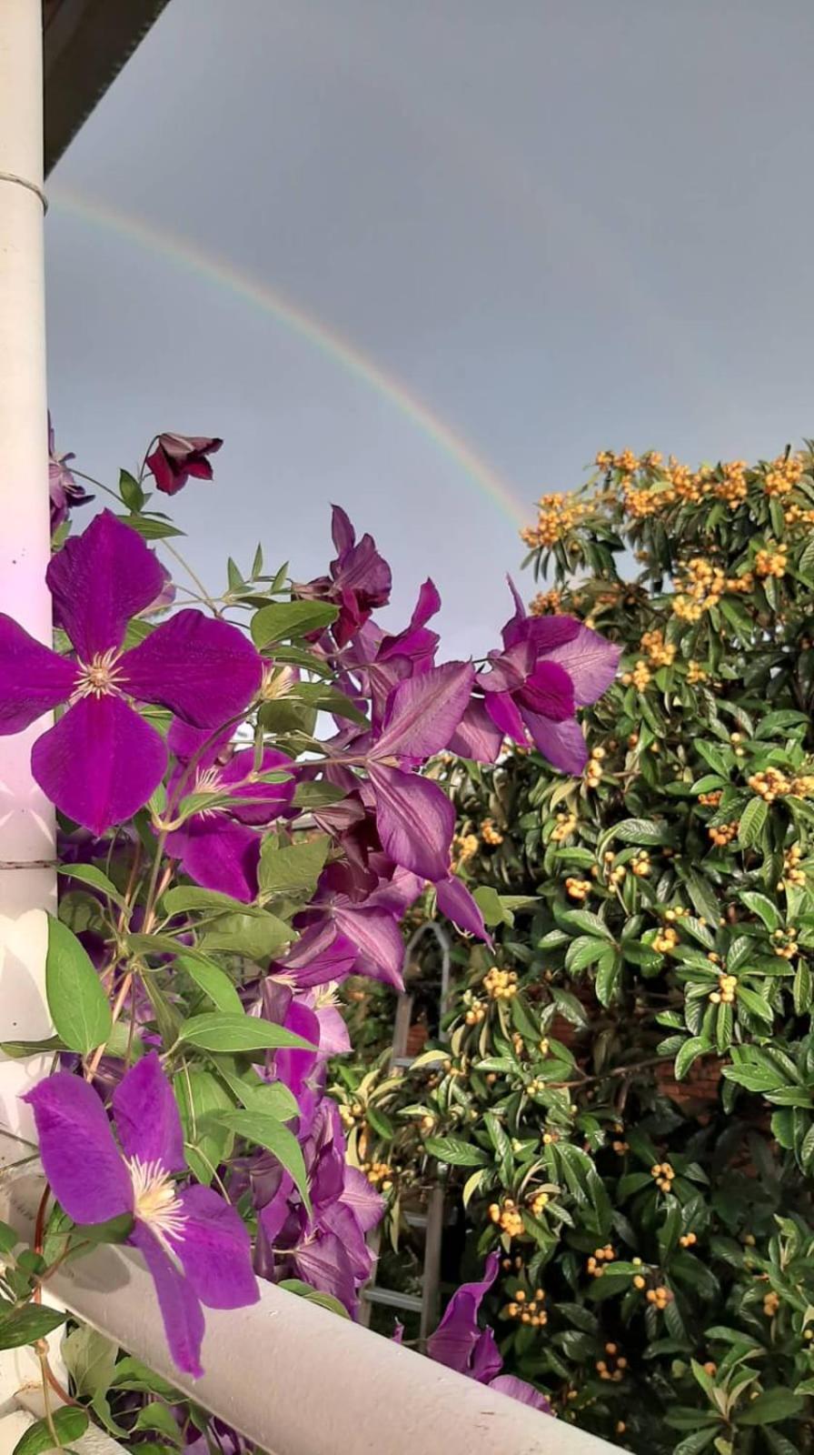 Kote.Ge Hotel Lagodekhi Luaran gambar